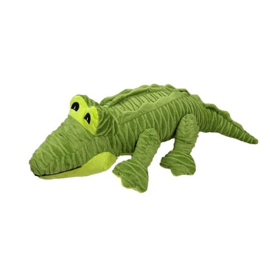 Alligator