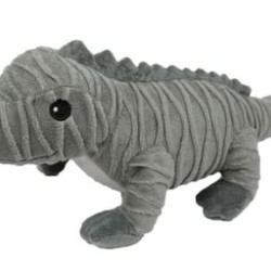 Rhino Iguana