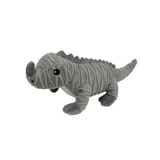 Rhino Iguana