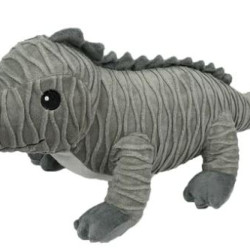 Rhino Iguana