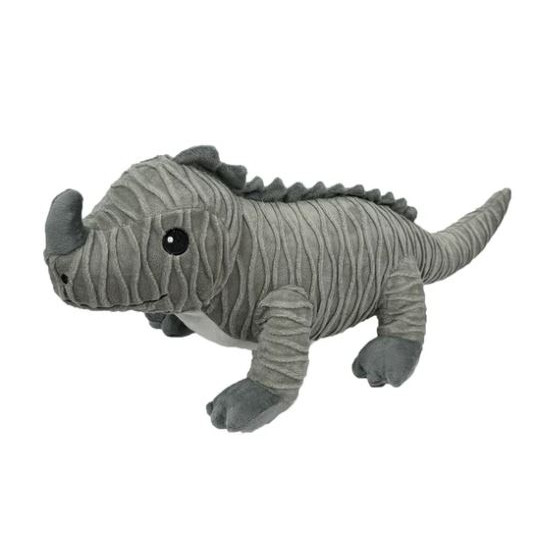 Rhino Iguana