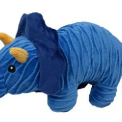Triceratops