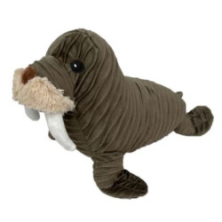 Walrus