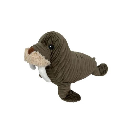 Walrus