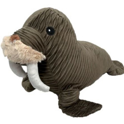 Walrus