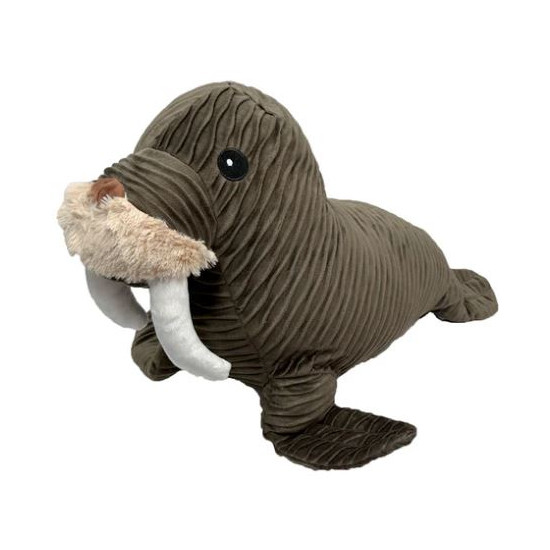 Walrus
