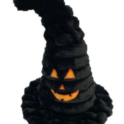 Halloween Witch Hat
