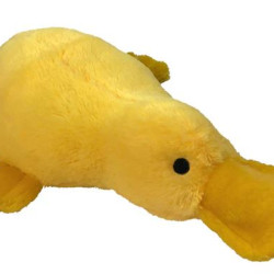 Platypus