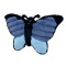 Farm Friends - Butterfly
