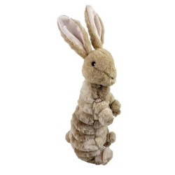Trapped Bunny
