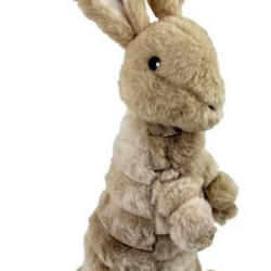 Trapped Bunny