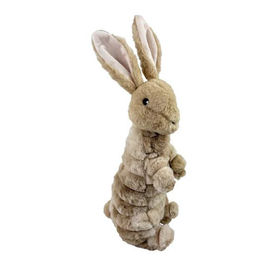 Trapped Bunny