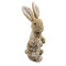 Trapped Bunny