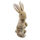 Trapped Bunny