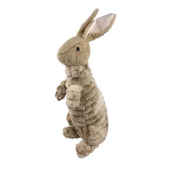 Trapped Bunny