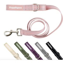 Reflective Leash