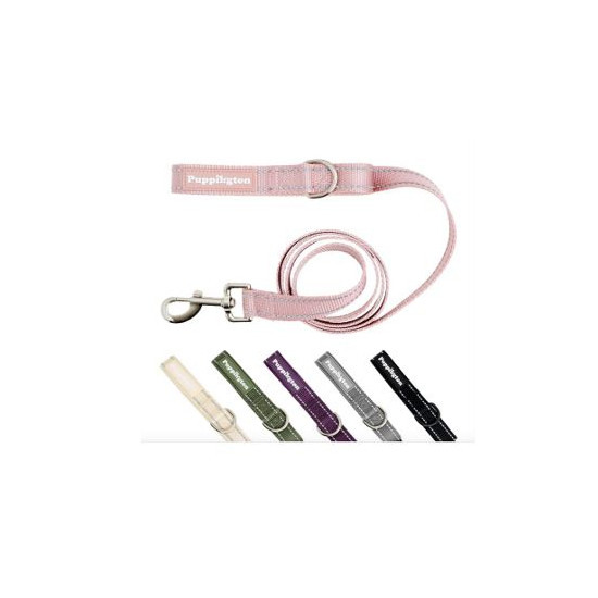 Reflective Leash