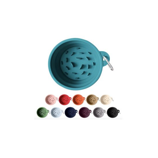 Slow-Feed Travel Bowl