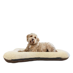 All Day Bed - NEW