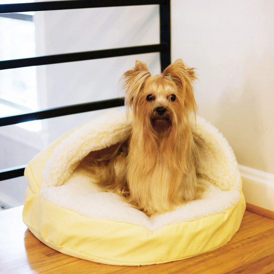 Orthopedic Cozy Caves - Luxury Fabrics