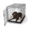 Foam Dog Crate Pad
