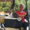 Lookout Pet Golf Cart Seat