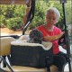 Lookout Pet Golf Cart Seat