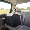 Lookout 1 Pet Car Seat