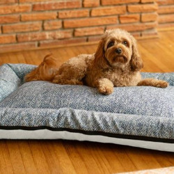 All Day Reversible Bed - Show Dog Collection
