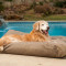 Waterproof Rectangle Beds