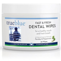 Fast and Fresh Dental Swipes  50 pads