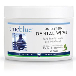 Fast and Fresh Dental Swipes  50 pads