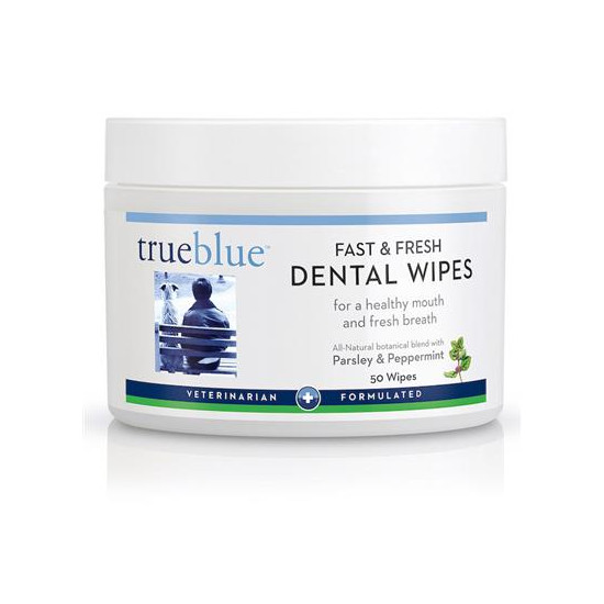 Fast and Fresh Dental Swipes  50 pads