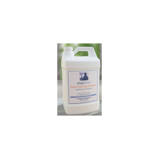 Gallons - Super Fresh Shampoo Concentrated