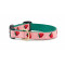 Strawberry Fields Cat