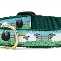 Counting Sheep
