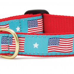 Flag Day