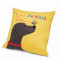 Accent Pillow - Be Kind