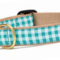 Turquoise Gingham