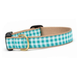 Turquoise Gingham