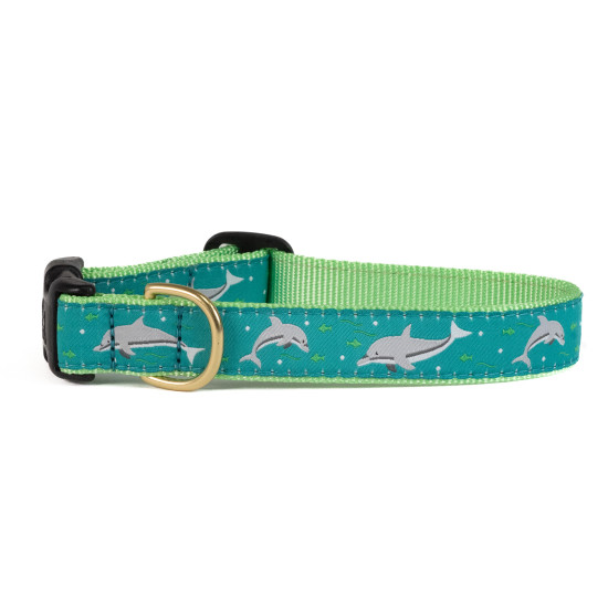Dolphin Dog