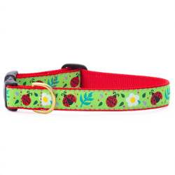 Ladybugs