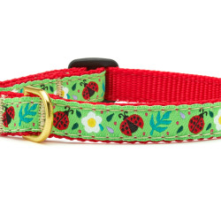 Ladybugs Cat