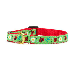 Ladybugs Cat