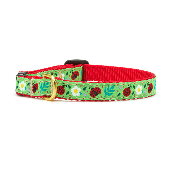 Ladybugs Cat