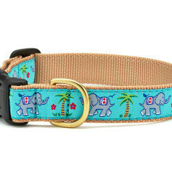 Trunk Show