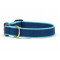 Color Market - Navy & Aqua Extra Wide