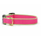 Color Market - Bright Pink & Lime Extra Wide