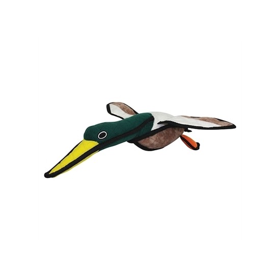 Duck - Dudley