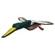 Duck - Dudley